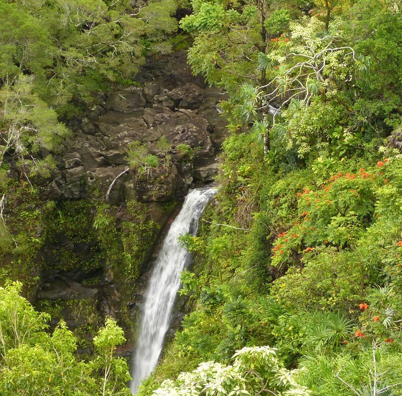 Click to See Next Image