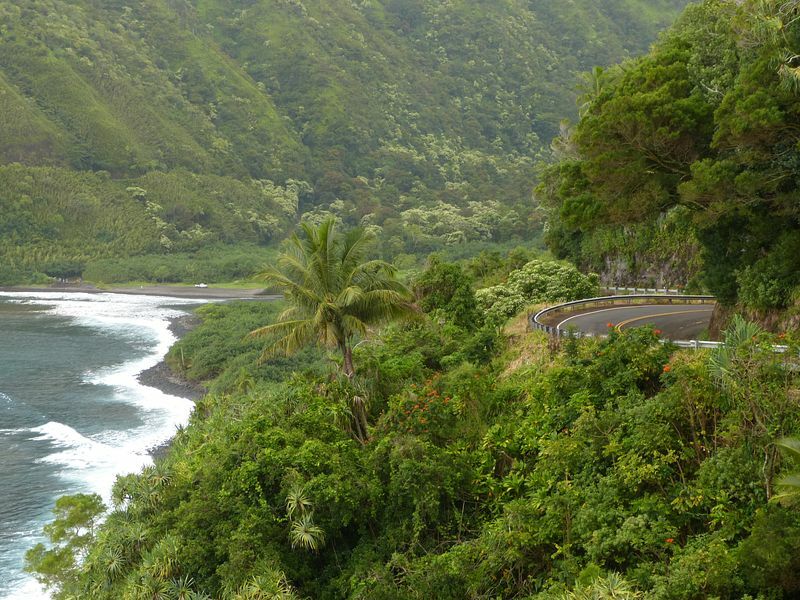 Click to See Next Image