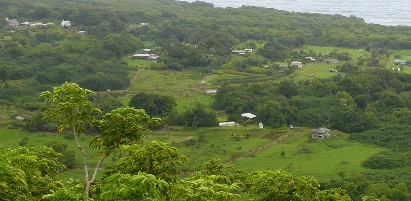 Click to See Next Image