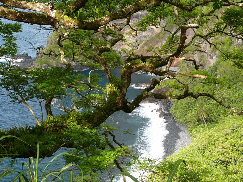 Click to See Next Image