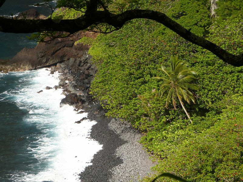 Click to See Next Image