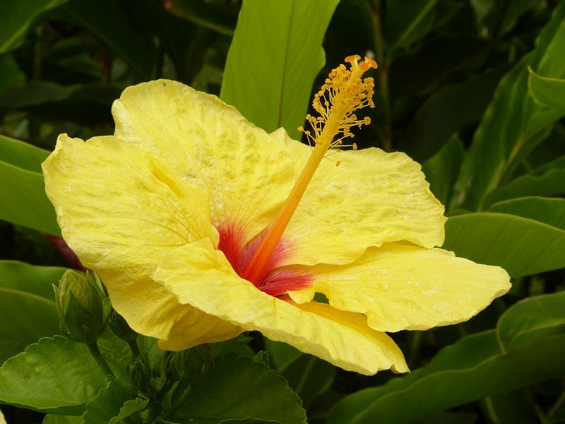 Click to See Next Image