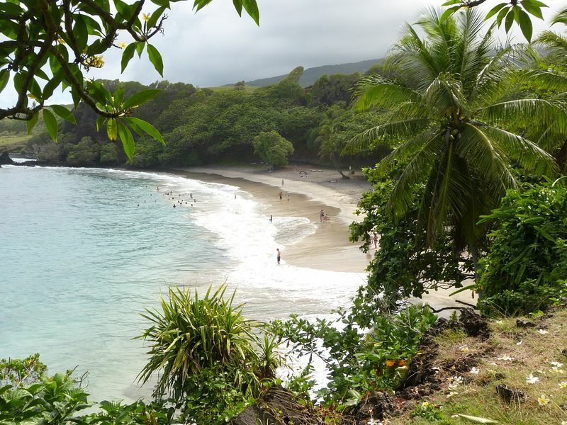 Click to See Next Image