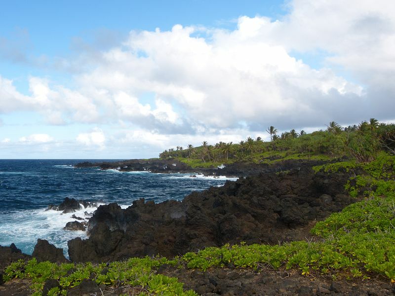 Click to See Next Image