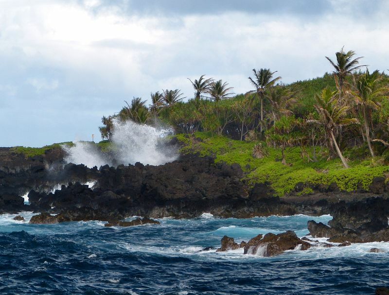 Click to See Next Image