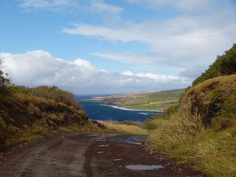 Click to See Next Image