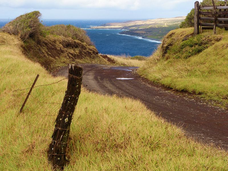 Click to See Next Image