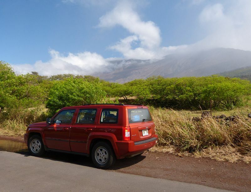 Click to See Next Image