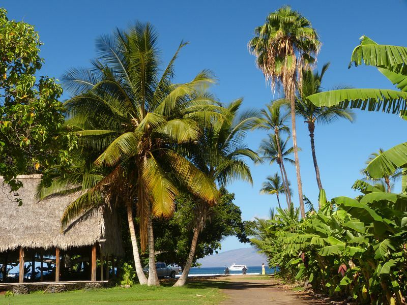 Click to See Next Image