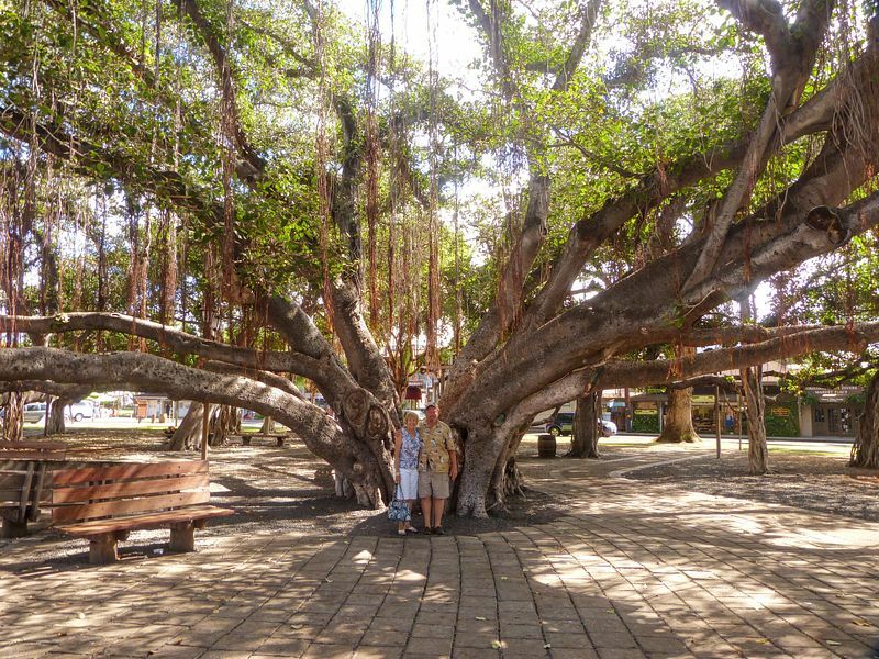 Click to See Next Image