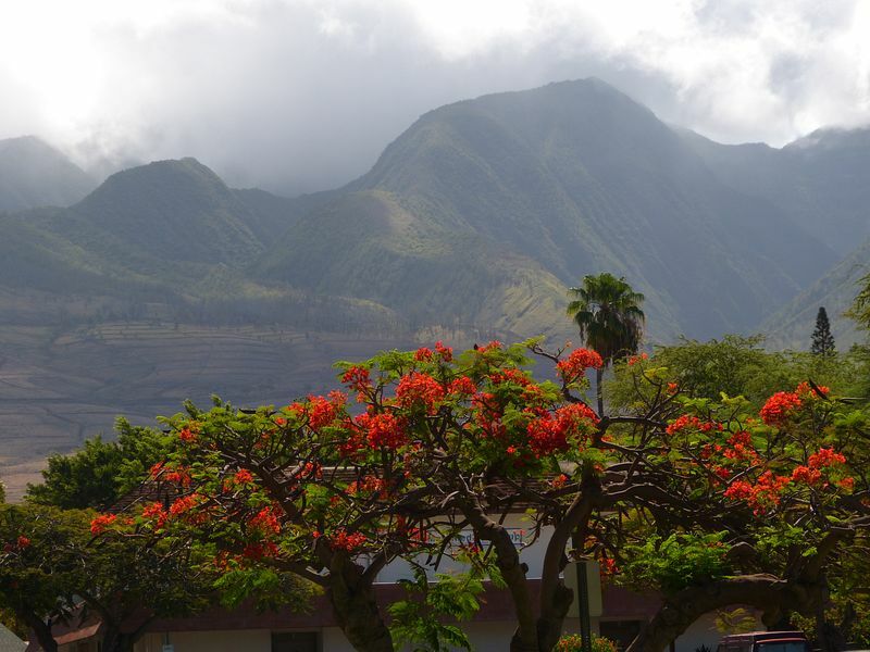 Click to See Next Image