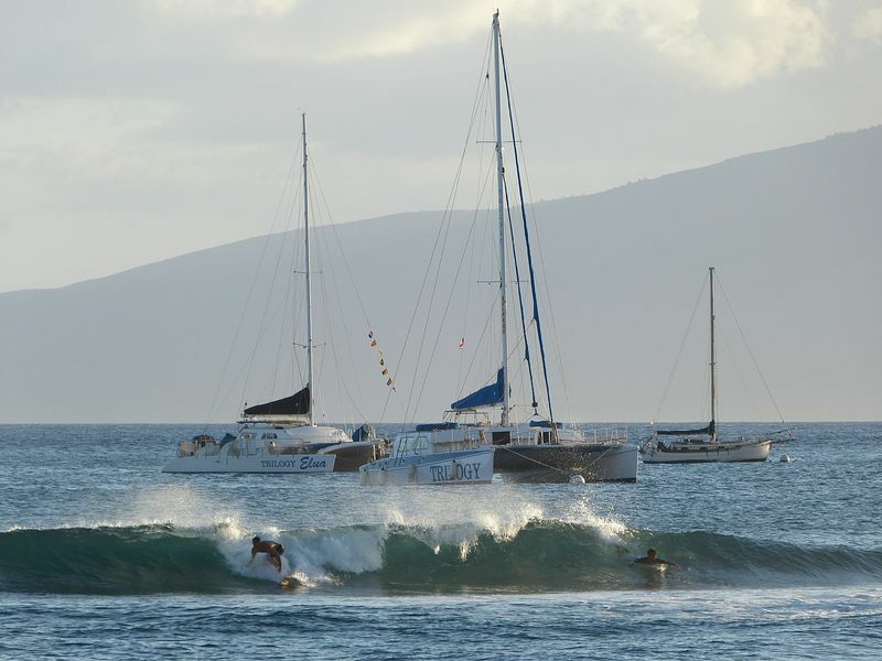 Click to See Next Image