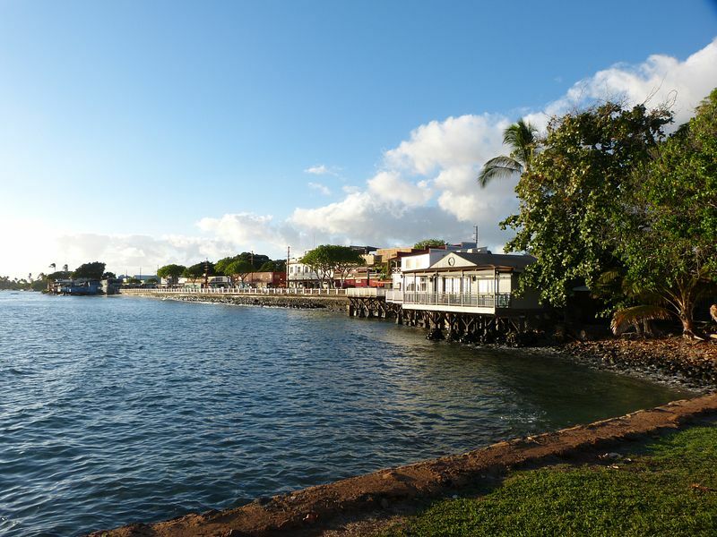 Click to See Next Image