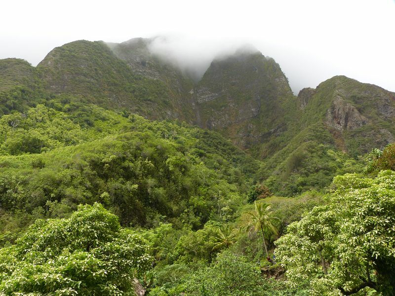 Click to See Next Image