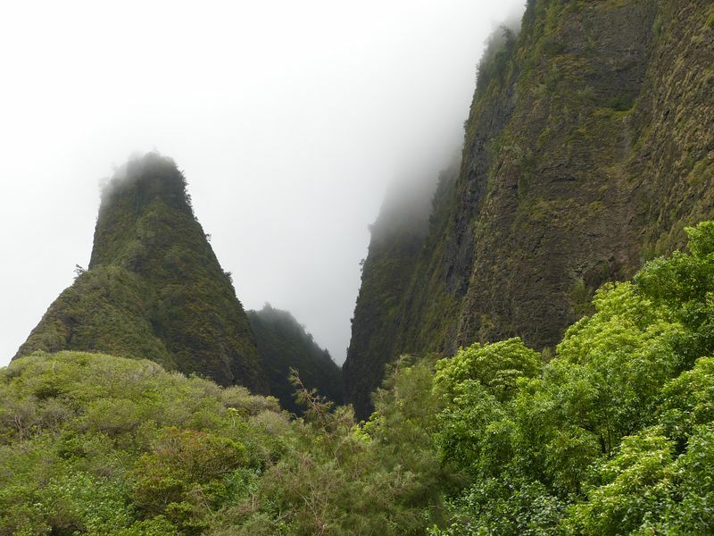 Click to See Next Image