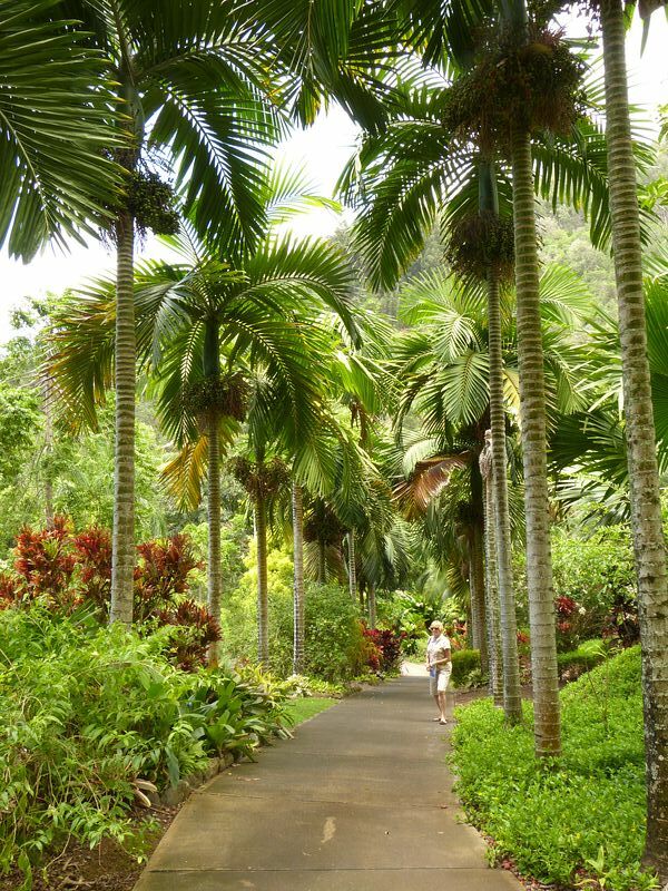 Click to See Next Image