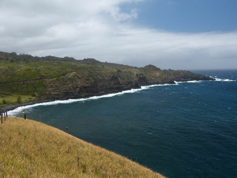 Click to See Next Image