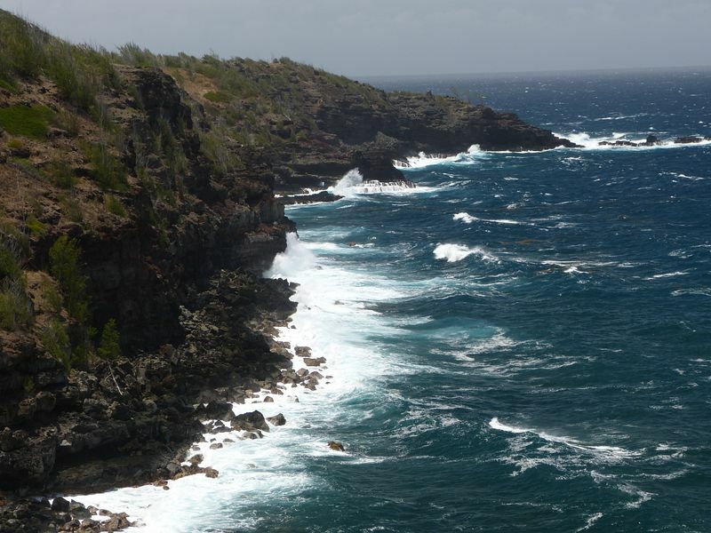 Click to See Next Image