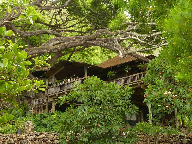 Click to See Next Image