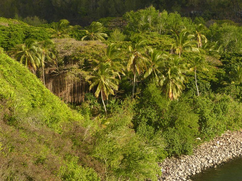 Click to See Next Image