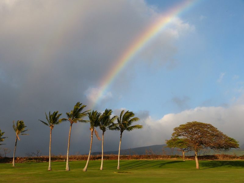 Click to See Next Image