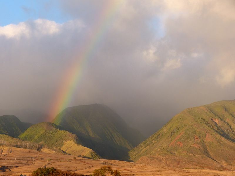 Click to See Next Image