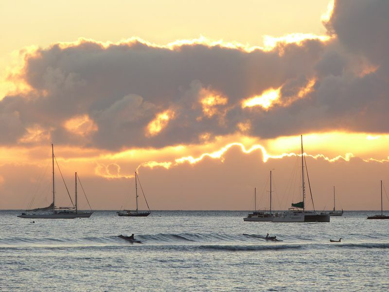 Click to See Next Image