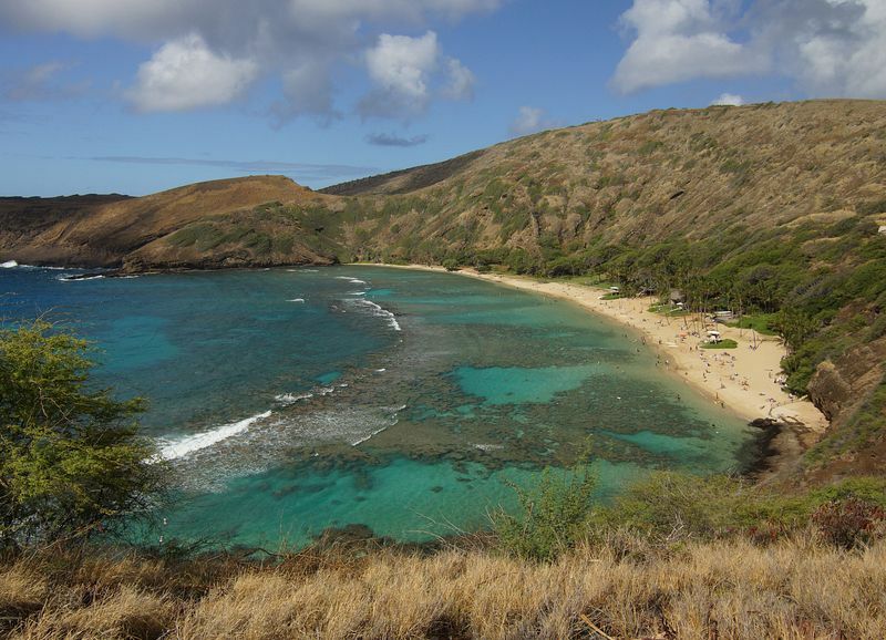 Click to See Next Image