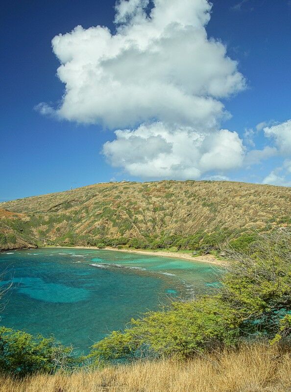 Click to See Next Image