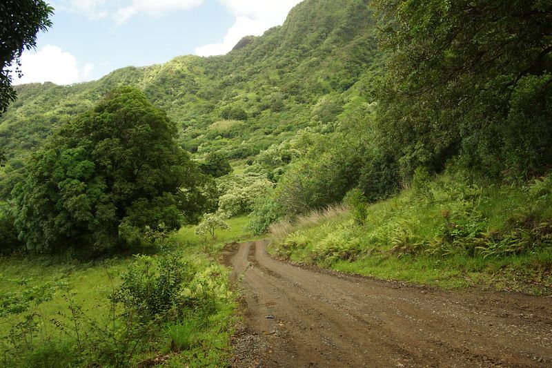 Click to See Next Image