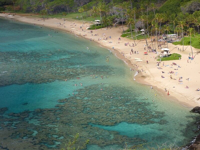 Click to See Next Image