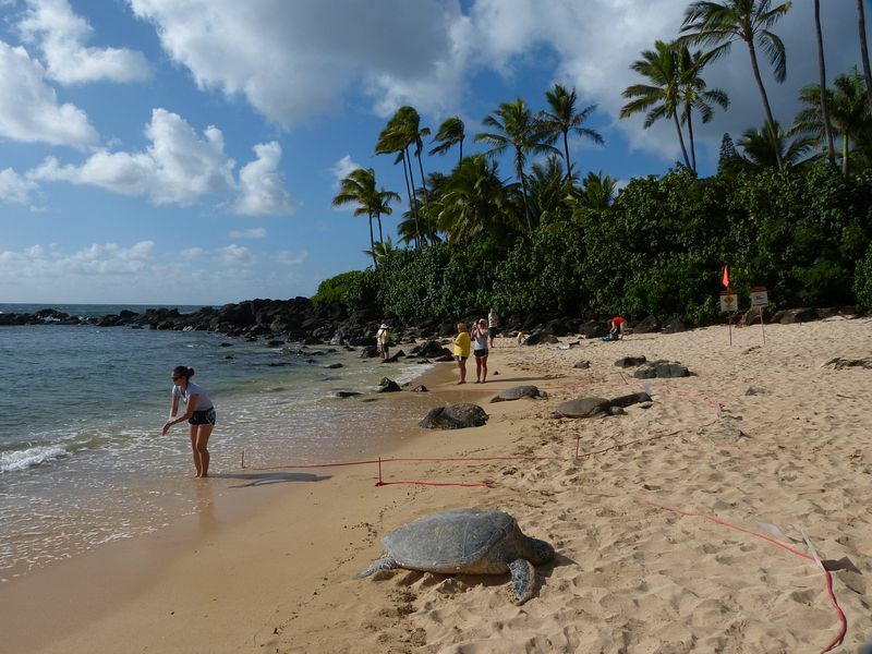 Click to See Next Image