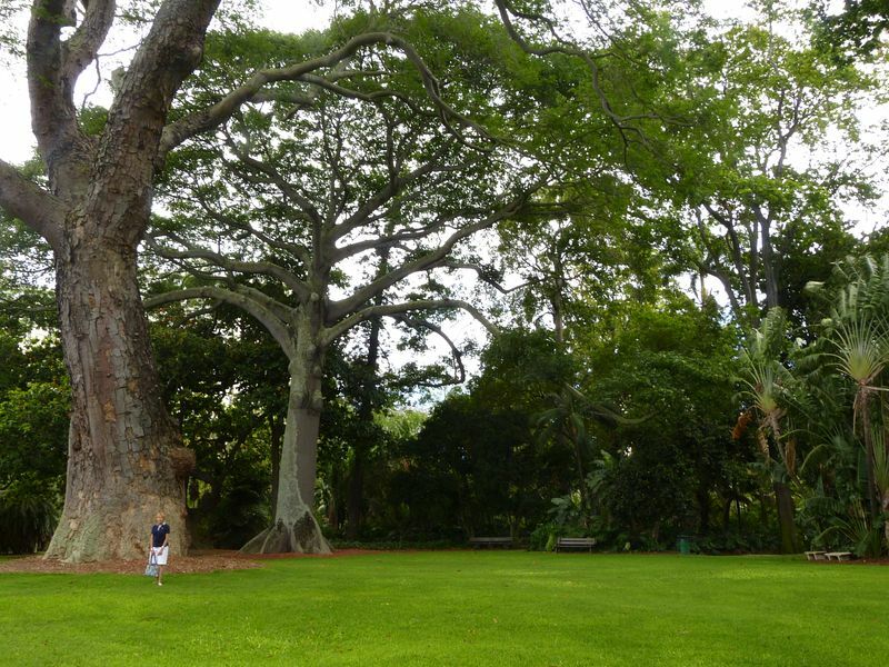 Click to See Next Image