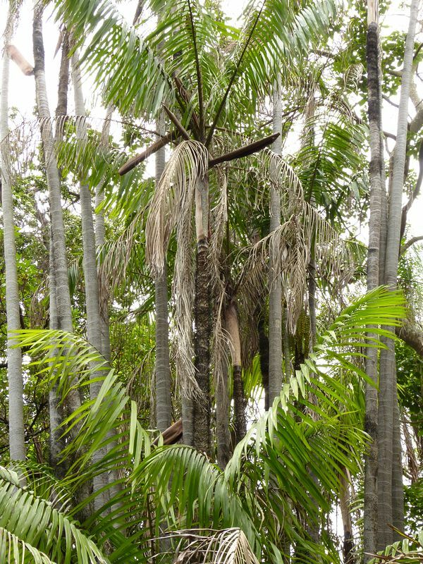 Click to See Next Image