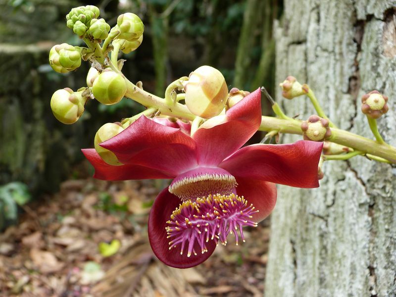 Click to See Next Image