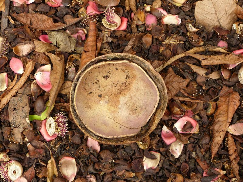 Click to See Next Image