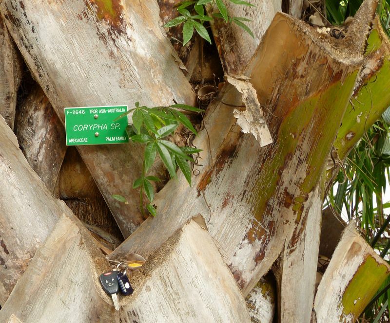 Click to See Next Image