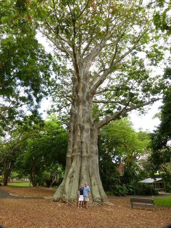 Click to See Next Image