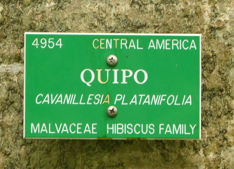 Click to See Next Image