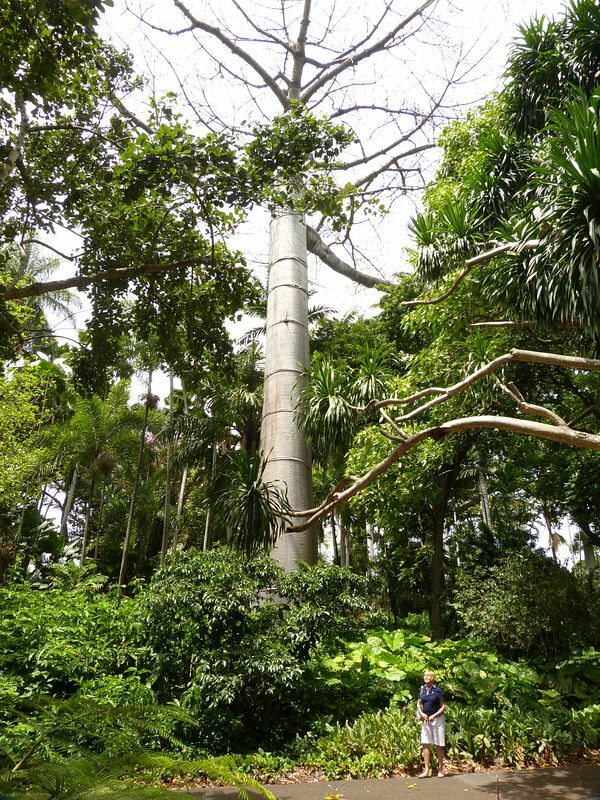 Click to See Next Image