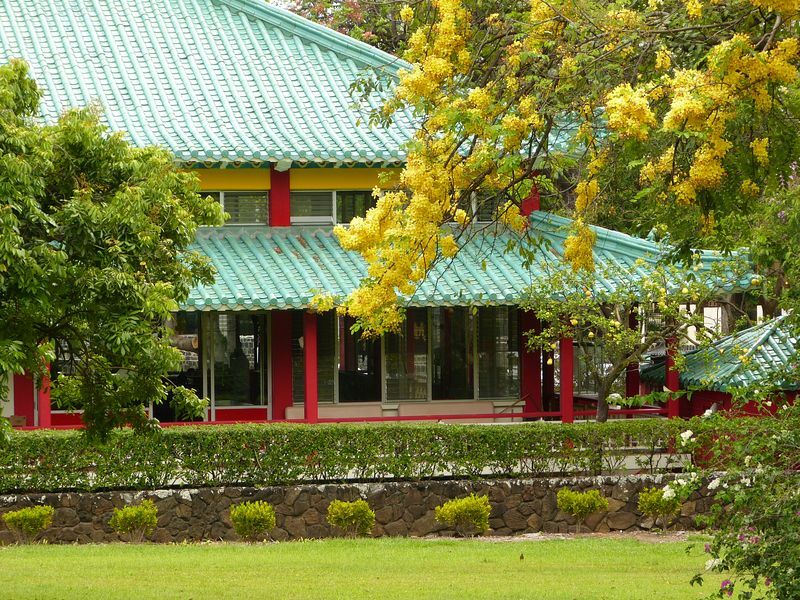 Click to See Next Image