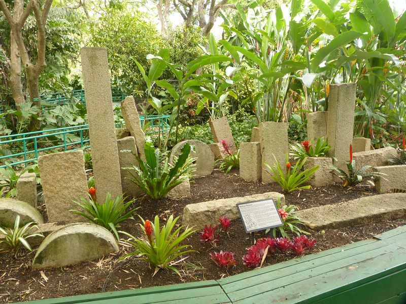 Click to See Next Image