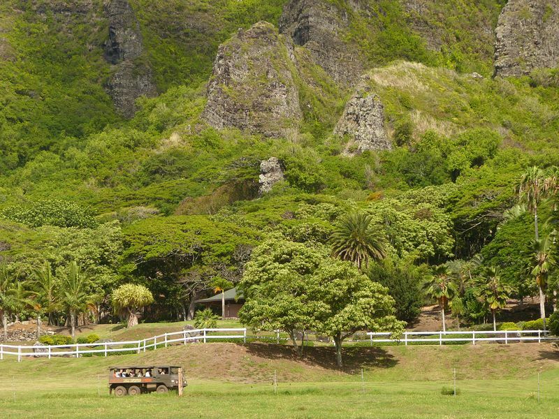 Click to See Next Image