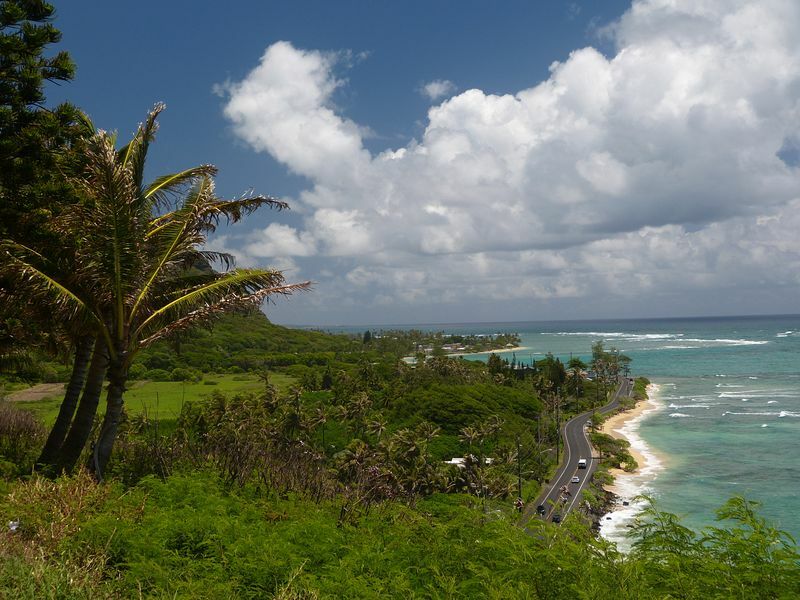 Click to See Next Image