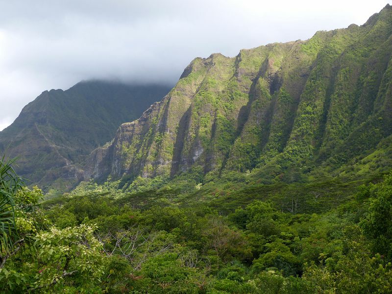 Click to See Next Image