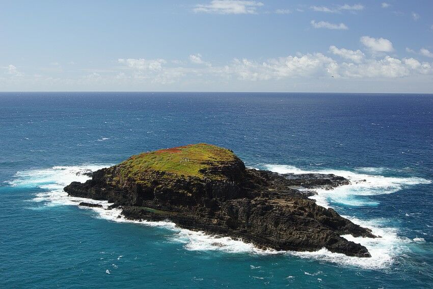 Click to See Next Image