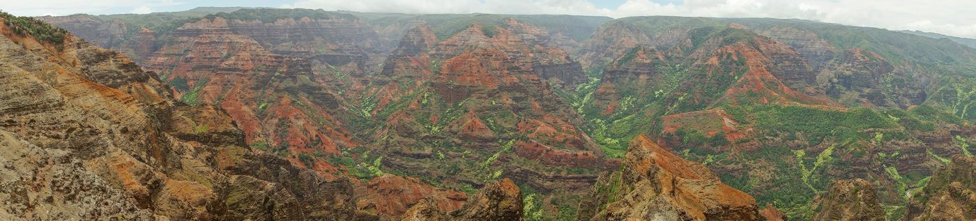 Click to See Next Image