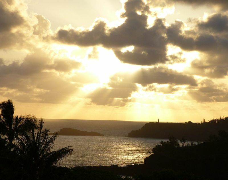 Click to See Next Image