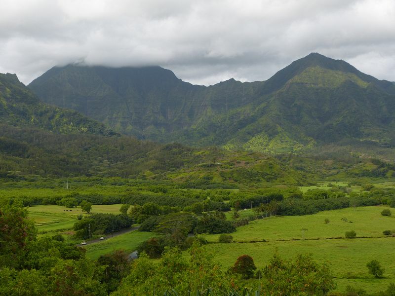 Click to See Next Image