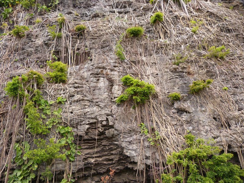 Click to See Next Image